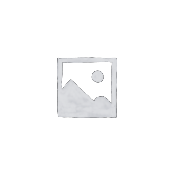 主機 Kinsta